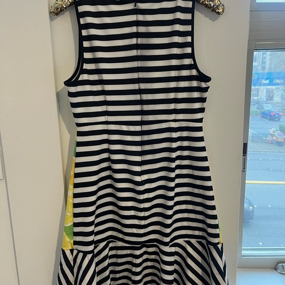 Lemon and Stripe Dress - Picture 4 of 4